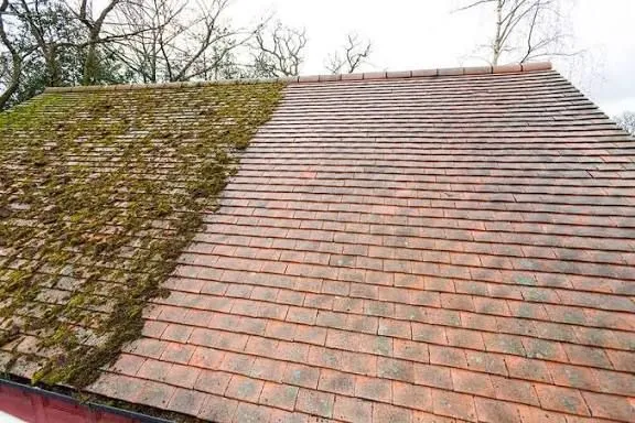 Moss Removal & Cleaning